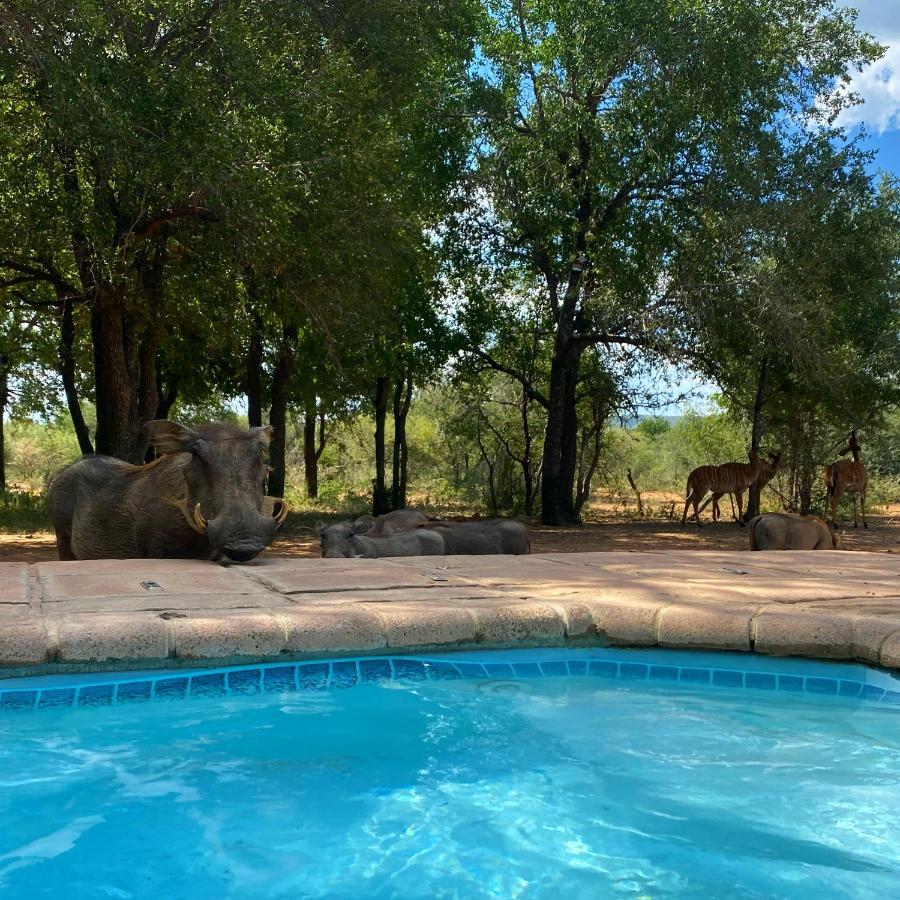 Twiga Lodge Mabalingwe Bela-Bela Zewnętrze zdjęcie