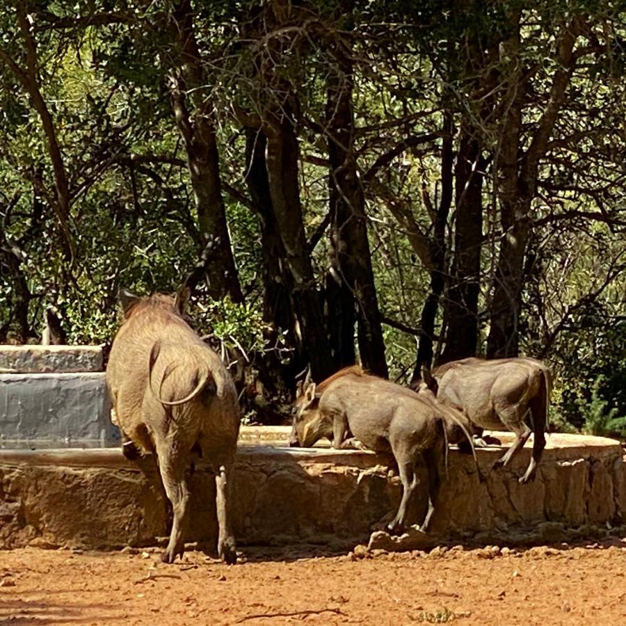 Twiga Lodge Mabalingwe Bela-Bela Zewnętrze zdjęcie