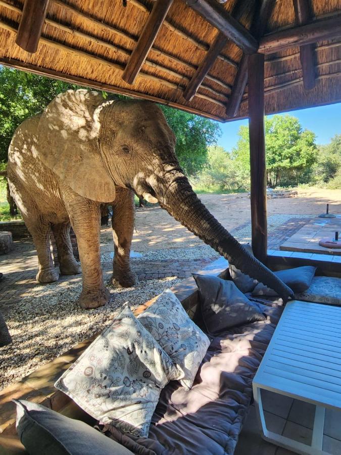 Twiga Lodge Mabalingwe Bela-Bela Zewnętrze zdjęcie